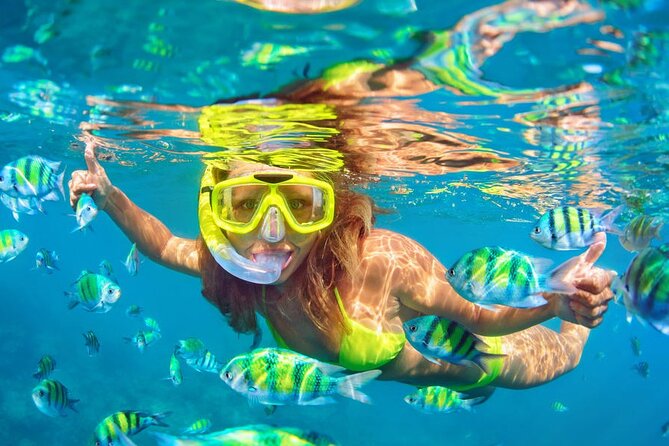 Private Full-Day Lovina Dolphin Watching and Snorkeling Boat Tour - Who This Tour Fits Best (And Who Should Skip It)