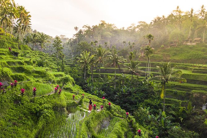 Private Full-Day Tour: Balinese Temples and Rice Terraces - Tirta Empul Holy Water Blessing: Join the Ritual if You Want