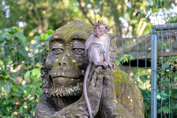 Private Full-Day Tour: Balinese Temples and Rice Terraces - How the Tour Delivers Value at $59.90 Per Person