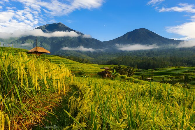 Private Full-Day Tour: Discover The Best of Bali Destination - A private full-day route that saves you from Bali stress