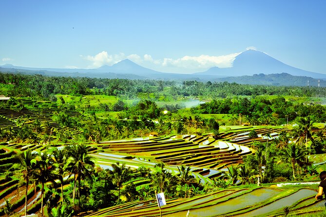 Private Full-Day Tour: Discover The Best of Bali Destination - Penatahan Kaja hot springs: the break your legs will thank you for