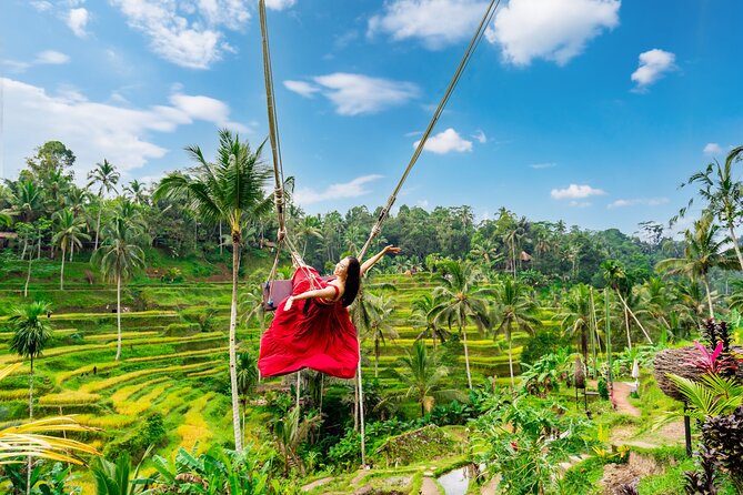 Private Full Day Tour in Ubud - Key highlights you can plan around