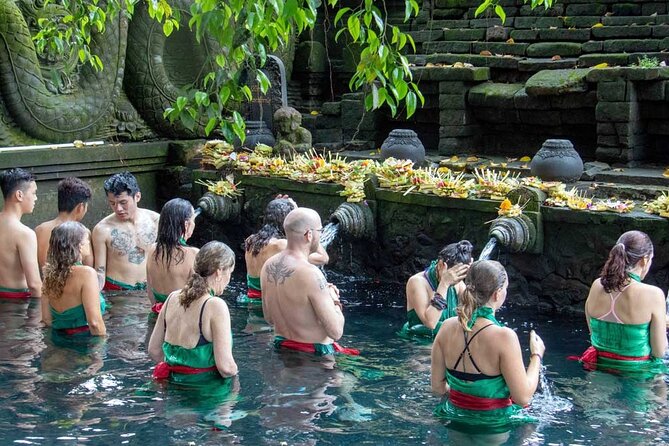 Private Full Day Tour In Ubud Bali - Stop 2: Tegalalang Rice Terrace for cliffside views and classic Bali photos