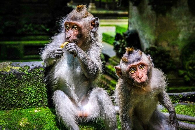 Private Full Day Tour In Ubud Bali - Stop 3: Celuk Village for silver and gold handicrafts