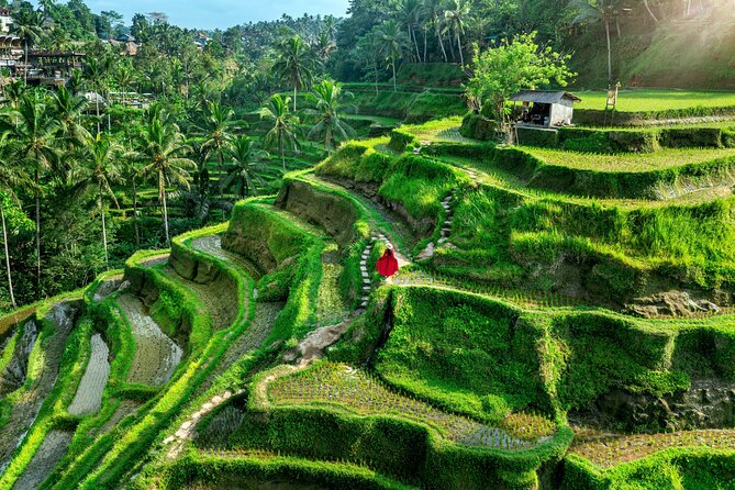 Private Full Day Tour in Ubud - Celuk Village: gold and silver craft you can actually watch