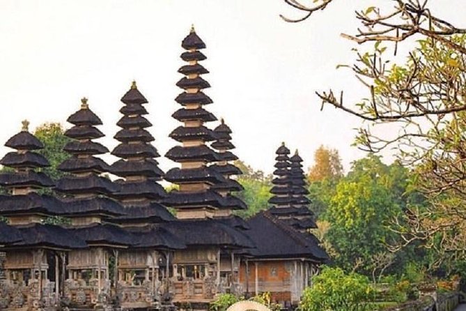 Private Full-Day Tour Jatiluwih Rice Terrace and Tanah Lot Temple - What to expect at each stop, without surprises