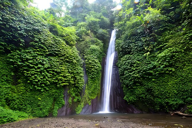 Private Full-Day Tour : North Bali Trip to Discover The Culture of Bali Island - How this North Bali private day really works