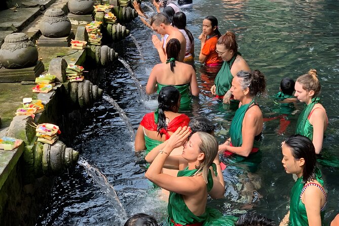 Private Full-Day Tour: Waterfall, Temple, Volcano, Rice Terrace & Monkey Forest - Price and what you actually get for $80