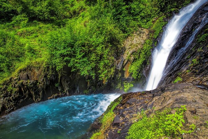 Private Full-Day West Bali Tour with Waterfall Visit - Key highlights to look for