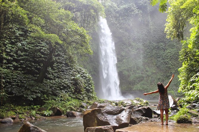 Private Full-Day West Bali Tour with Waterfall Visit - Gitgit Waterfall hike and the swim option you’ll remember