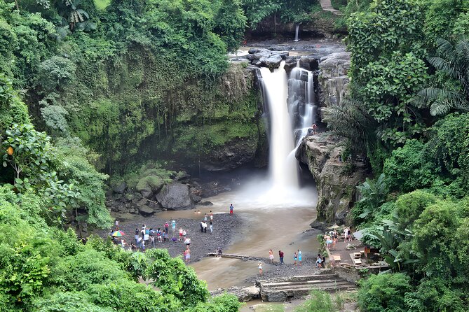 Private Half-Day Tour: The Best Ubud Half Day Trip Packages - Pickup, Timing, and the Traffic Reality Check
