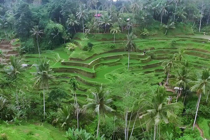 Private Half-Day Tour : Ubud Waterfall Tour Packages - Tegenungan Waterfall: the morning stop for big views and classic photos