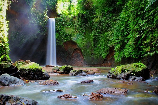 Private Inclusive Tour: The Best Of Ubud With Jungle Swing - Price and value: what you actually get for $53 per person
