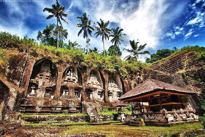 Private Inclusive Tour: The Best Of Ubud With Jungle Swing - Stop 5: d’Alas Swing, a jungle swing for one big memory