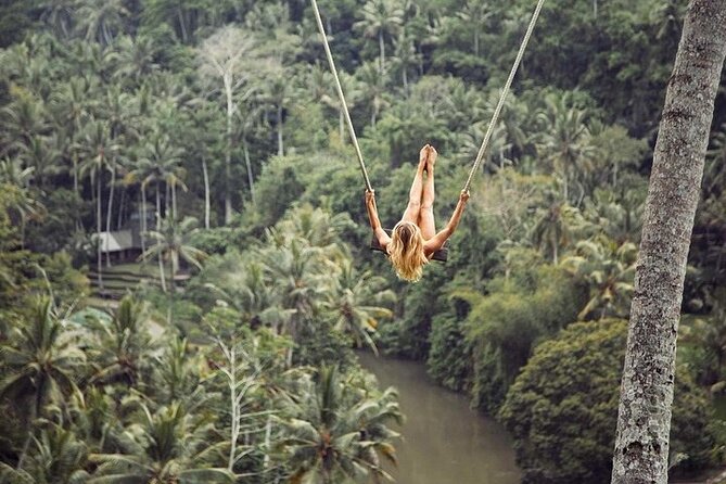 Private Inclusive Tour: The Best Of Ubud With Jungle Swing - Door-to-door pickup: how the day starts and why it matters