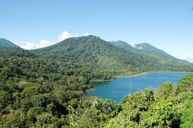Private Jatiluwih Rice Terraces Heritage Site and Culture Tour - Price and logistics: what $36 includes and what to budget