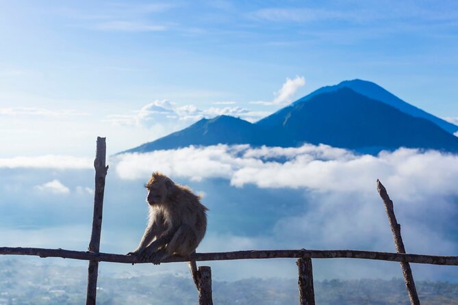 Private Mount Batur Sunrise Trekking Tour - Who should book this Mount Batur sunrise trek