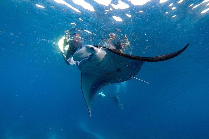 PRIVATE Nusa Penida on Boat Snorkeling & Island Tour (INCLUSIVE) - Key things that make this tour worth your time
