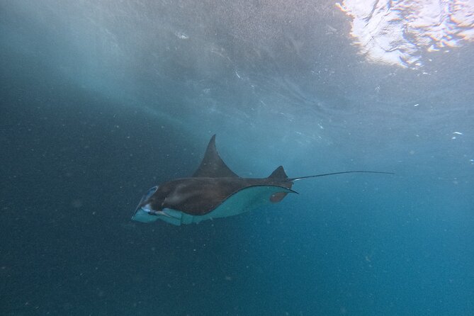 PRIVATE Nusa Penida on Boat Snorkeling & Island Tour (INCLUSIVE) - Weather and risk reality on Penida days