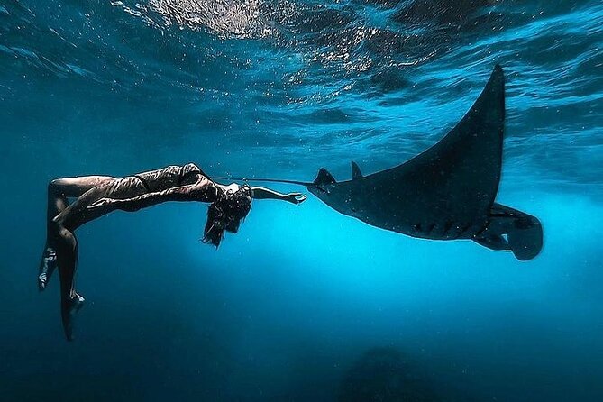 PRIVATE Nusa Penida on Boat Snorkeling & Island Tour (INCLUSIVE) - The full schedule, from Sanur fast ferry to late Penida viewpoints
