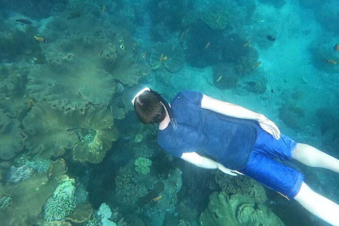 Private Nusa Penida Snorkeling Tour - Snorkeling at Manta Bay, Crystal Bay, Gamat Bay, and Wall Point