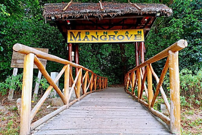 Private One Day Bintan Island Tour - Stop 2, Bintan Desert also called Busung Desert