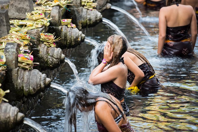 Private Shore Excursion: Customized Best of Bali Tour - Waterfall and holy spring stops: fresh air breaks that change the pace