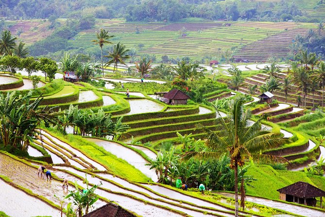 Private Shore Excursion: Customized Best of Bali Tour - Tanah Lot timing at low tide, and why it can make or break your day
