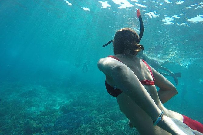 Private Snorkeling Gili Island (Coral, Statue and Turtle) - Getting the best underwater footage, including GoPro extras