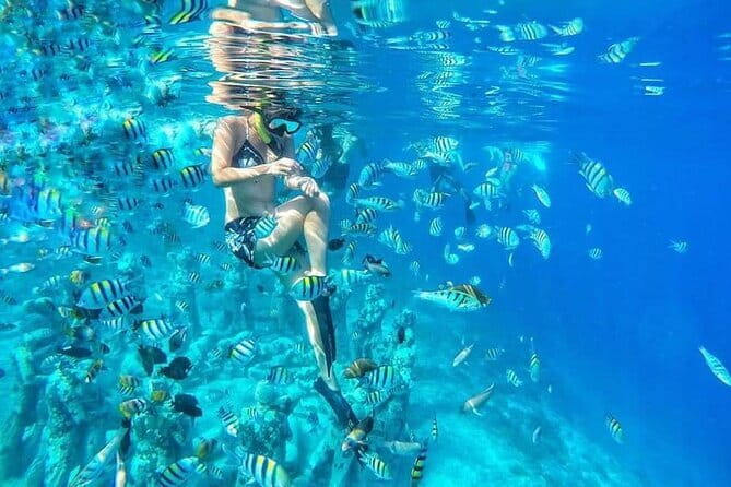 Private Snorkeling Gili Island Including GoPro Camera - Turtle Point: Sea Turtles Without the Chaotic Hunt