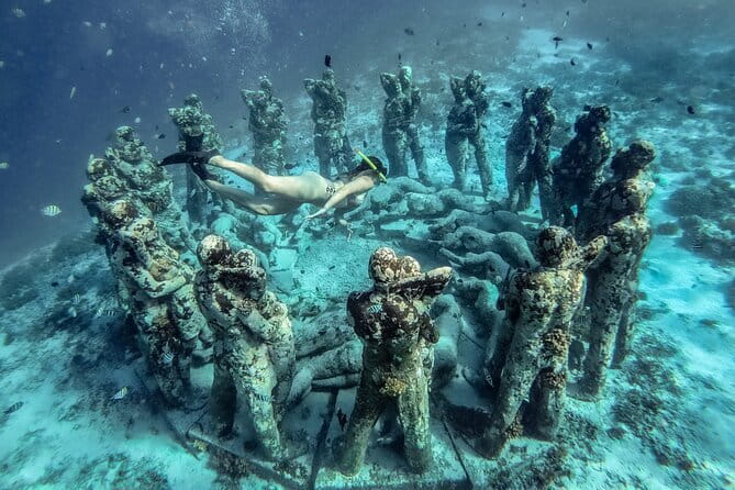 Private Snorkeling Gili Island Including GoPro Camera - Coral and Fish Stop: Real Snorkeling for Real Life