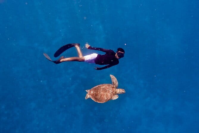 Private Snorkeling Gili Island Including GoPro Camera - The GoPro Camera Experience: Photos and Video You Don’t Have to Manage