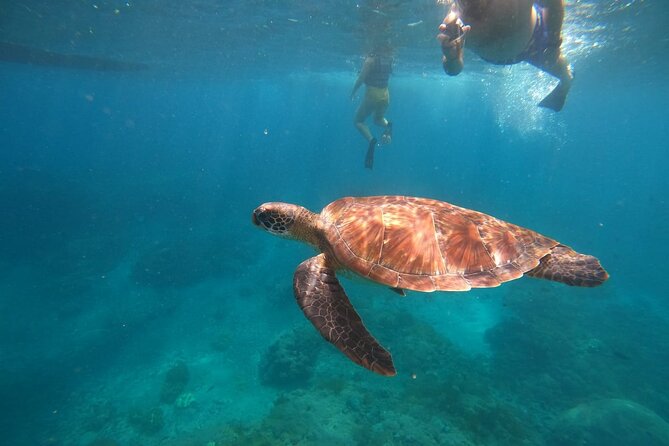 Private Snorkeling in Manta Bay, Gamat Bay & Wall at Nusa Penida - Key Things I’d Watch For