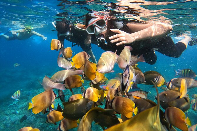 Private Snorkeling in Manta Bay, Gamat Bay & Wall at Nusa Penida - Itinerary Rhythm: 3 Snorkeling Stops, Lunch, Then Back to Your Hotel