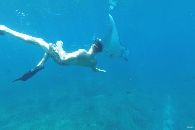 Private Snorkeling in Manta Bay, Gamat Bay & Wall at Nusa Penida - Manta Bay: The Headliner With a Realistic Luck Factor