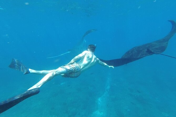 Private Snorkeling in Manta Bay, Gamat Bay & Wall at Nusa Penida - Crystal Bay and Wall Point: How the Third Stop Can Surprise You