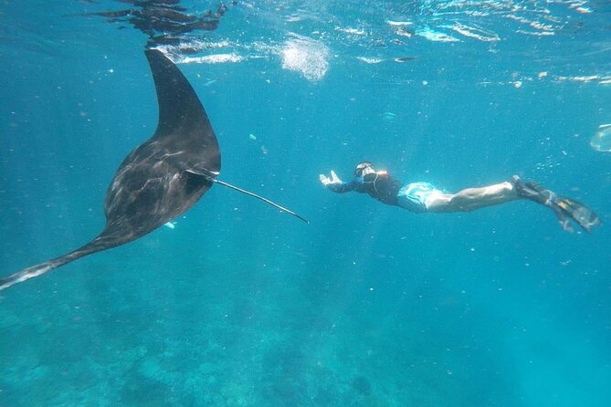 Private Snorkeling in Manta Bay, Gamat Bay & Wall at Nusa Penida - Lunch at the Harbor: A Simple End to a Busy Water Morning
