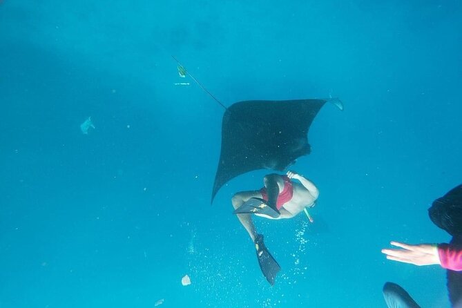 Private Snorkeling in Manta Bay, Gamat Bay & Wall at Nusa Penida - Price and Value: Is $115 Worth It for Private Snorkeling on Penida?