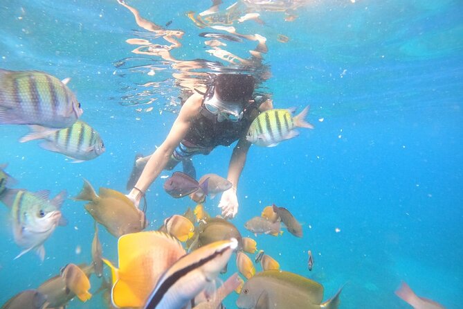 Private Snorkeling in Manta Bay, Gamat Bay & Wall at Nusa Penida - The Private Snorkeling Boat Setup: What You Get and Why It Feels Better