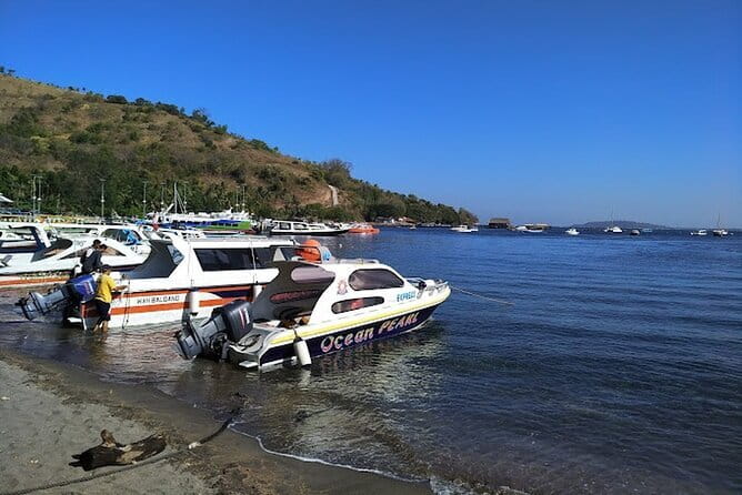 Private Speedboat transfer Between Lombok and Gili Islands - The 7 to 10 Minute Crossing to Gili Trawangan, Air, or Meno