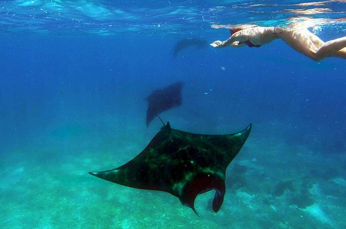 Private tour 4 days 3 nights Komodo on boat, waterfall and Rangko cave - Day 2: Padar Viewpoints, Komodo Island, and Pink Beach