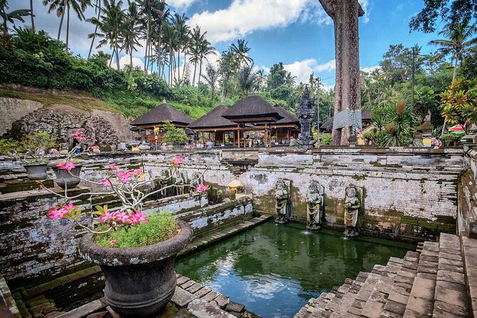 Private Tour : Bali Best Waterfalls, Temples and Monkey Forest - Tukad Cepung Waterfall Inside the Cave