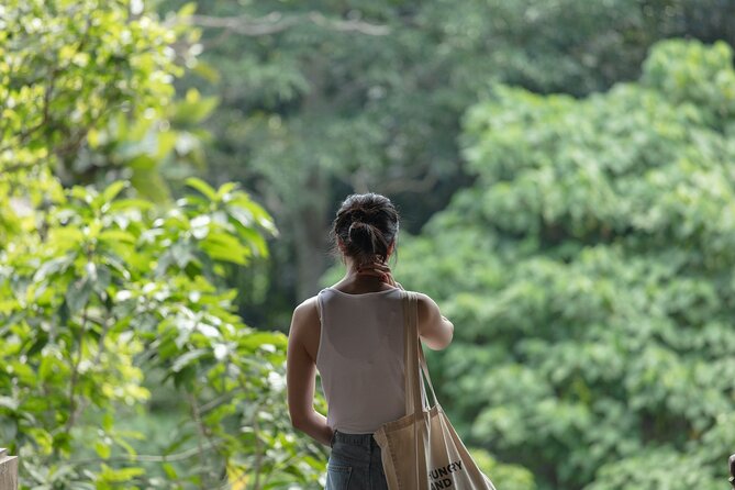 Private Tour : Bali Best Waterfalls, Temples and Monkey Forest - Ubud Recharge Stop: Lunch on Your Own Terms
