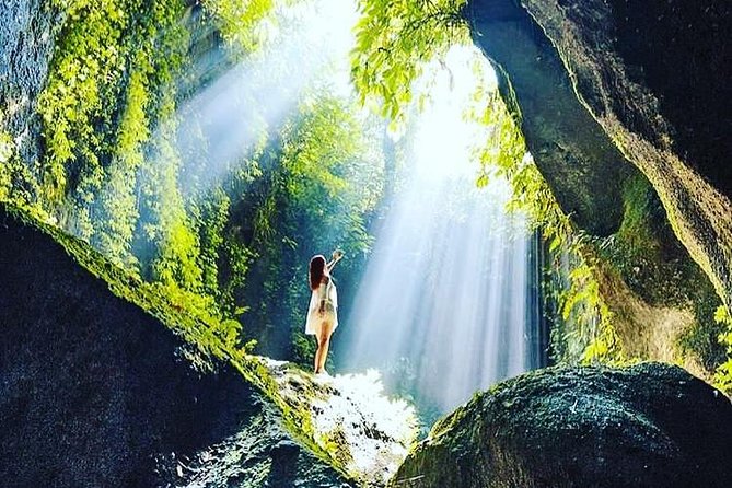 Private Tour: Bali in a Day - Tegalalang Rice Terraces: Subak Farming and Photo-Friendly Views