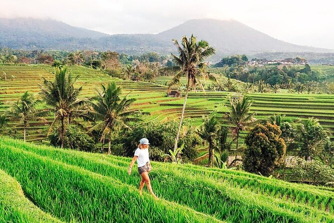 Private Tour: Bali UNESCO World Heritage Sites - Stop 6: Tanah Lot Temple and Late-Afternoon Sea Views