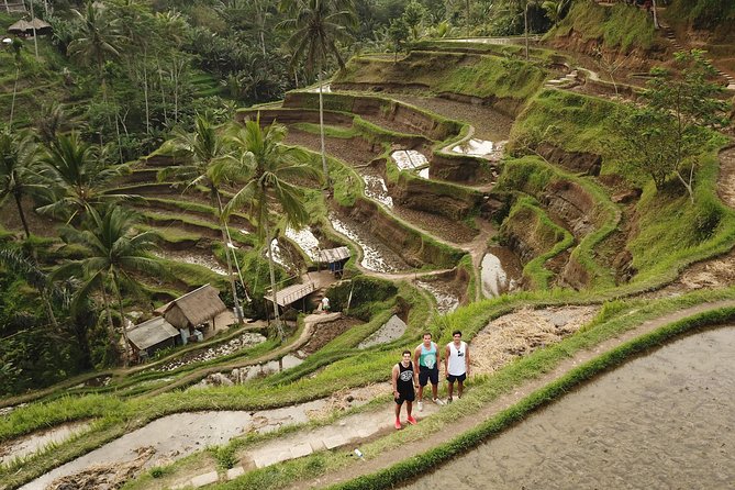 Private Tour: Bali Volcano with Jungle Swing Experience - Mount Batur buffet lunch: the volcano view you actually eat with