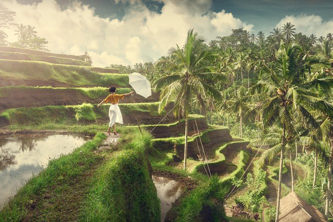 Private Tour: Best of Bali - All Inclusive Tickets - Price and what $62 a person really buys