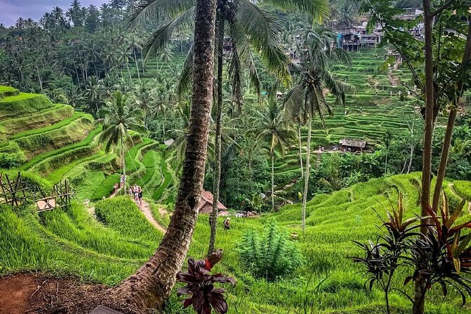 Private Tour: Best of Bali - All Inclusive Tickets - Stop 1: Puseh Batuan Temple and how the visit works