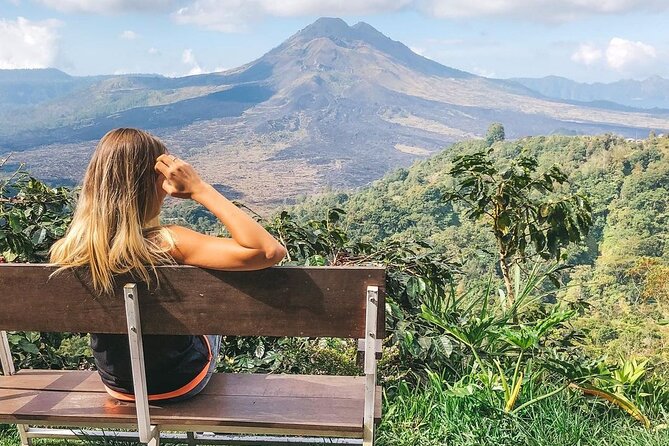 Private Tour: Best of Bali - All Inclusive Tickets - Stop 4: Tegalalang Rice Terraces and what makes this photo stop worth it