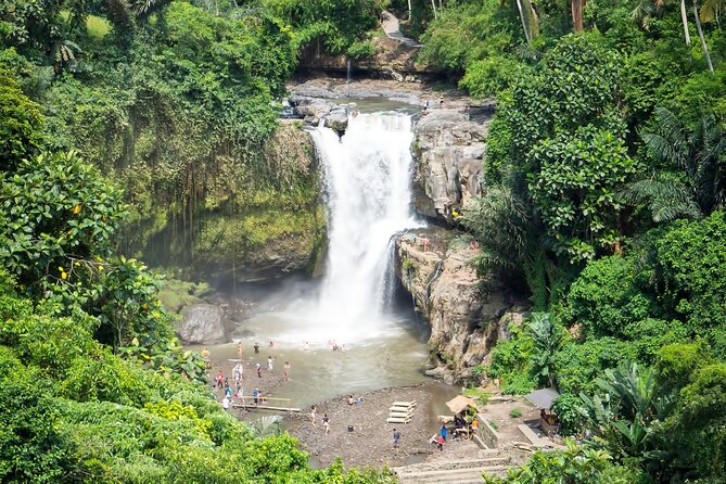 Private Tour: Best of Bali - All Inclusive Tickets - Coffee plantation stop and what to ask your driver